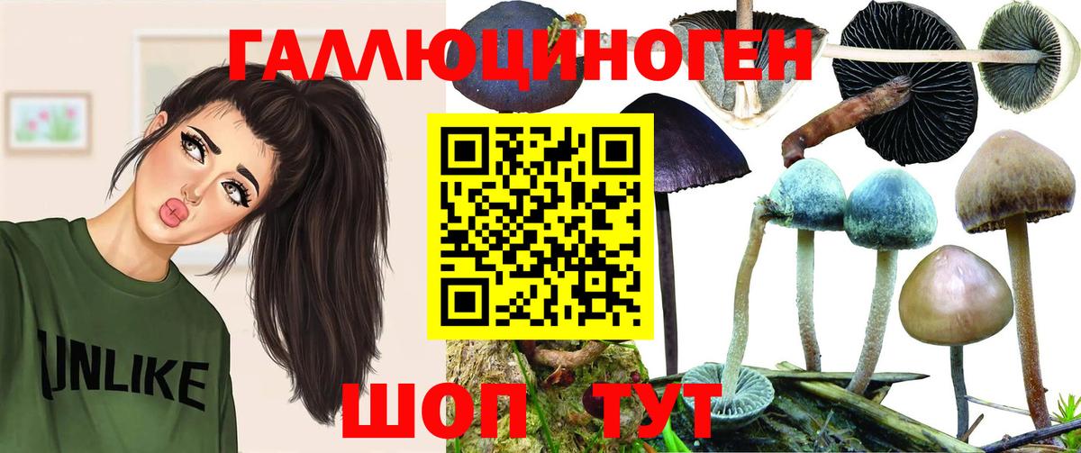 Псилоцибиновые грибы Psilocybe  Вход с VPN  Севастополь 