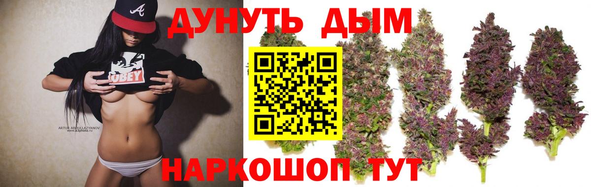 Севастополь  Конопля индика  МАРИХУАНА ГИДРОПОН  Вход с VPN  Конопля тримм 